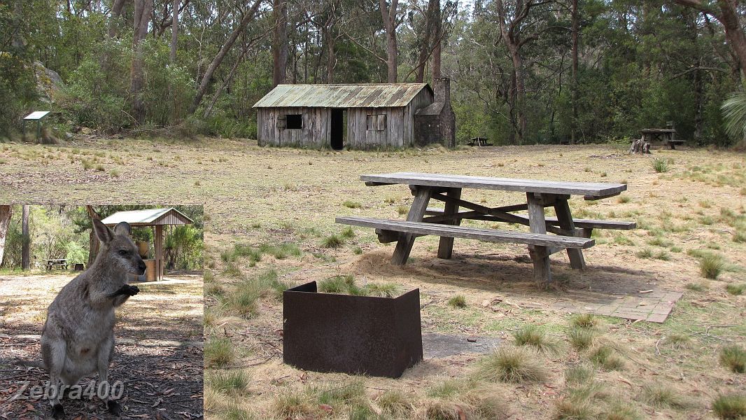 09-The locals keep an eye on Mulligans Hut.jpg